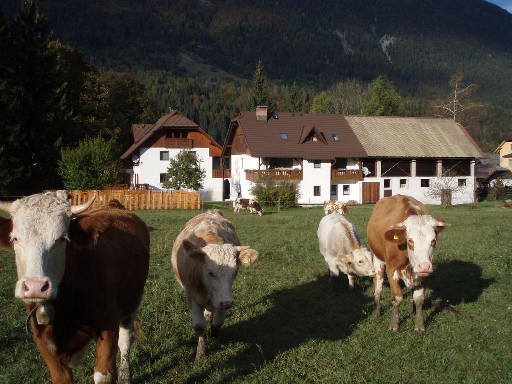 Villa Farm Kosir Kranjska Gora Exterior foto